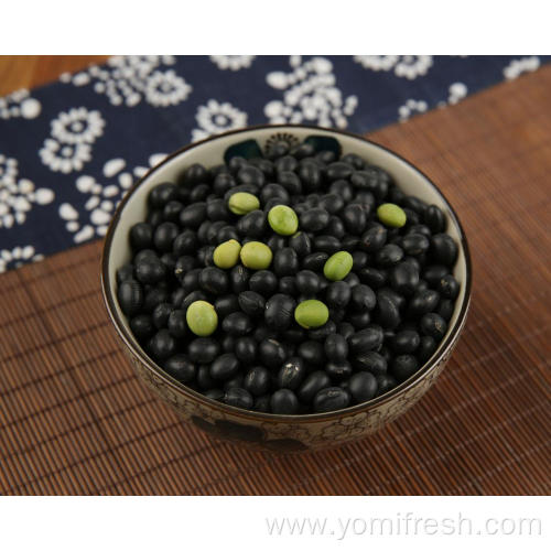 Healthiest Beans To Eat